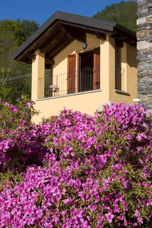 VIOLINA casa vacanze Pettenasco Esterno foto